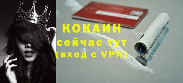 твердый Абаза