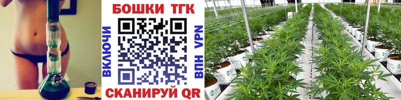 mega ссылка  продажа наркотиков  Злынка  Марихуана план 